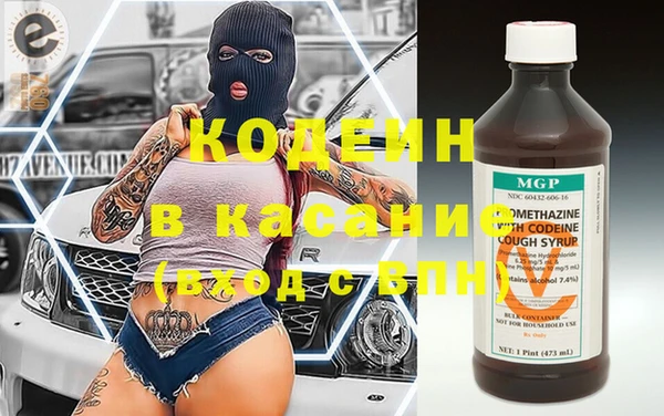 ГАЛЛЮЦИНОГЕННЫЕ ГРИБЫ Ельня