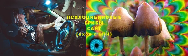 apvp Дмитров