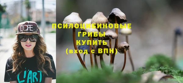 мяу мяу кристалл Елизово