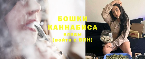 ГАЛЛЮЦИНОГЕННЫЕ ГРИБЫ Ельня