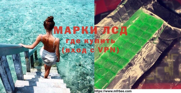 ГАЛЛЮЦИНОГЕННЫЕ ГРИБЫ Ельня