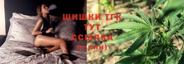ГАЛЛЮЦИНОГЕННЫЕ ГРИБЫ Ельня