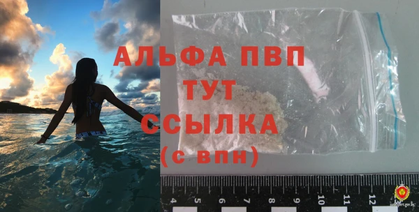 ГАЛЛЮЦИНОГЕННЫЕ ГРИБЫ Ельня