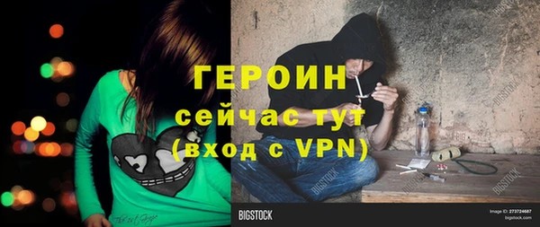 ГАЛЛЮЦИНОГЕННЫЕ ГРИБЫ Ельня