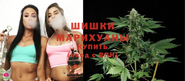 ГАЛЛЮЦИНОГЕННЫЕ ГРИБЫ Ельня
