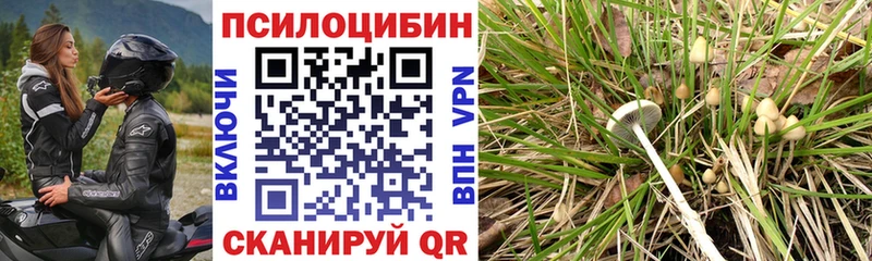Галлюциногенные грибы мухоморы  Купить закладки  Курчалой 